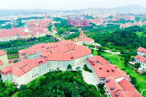 东莞松山湖华为3#地块绿化分包工程（机电分包）